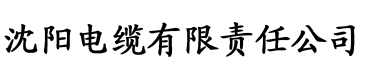 迅龙影视电缆厂logo